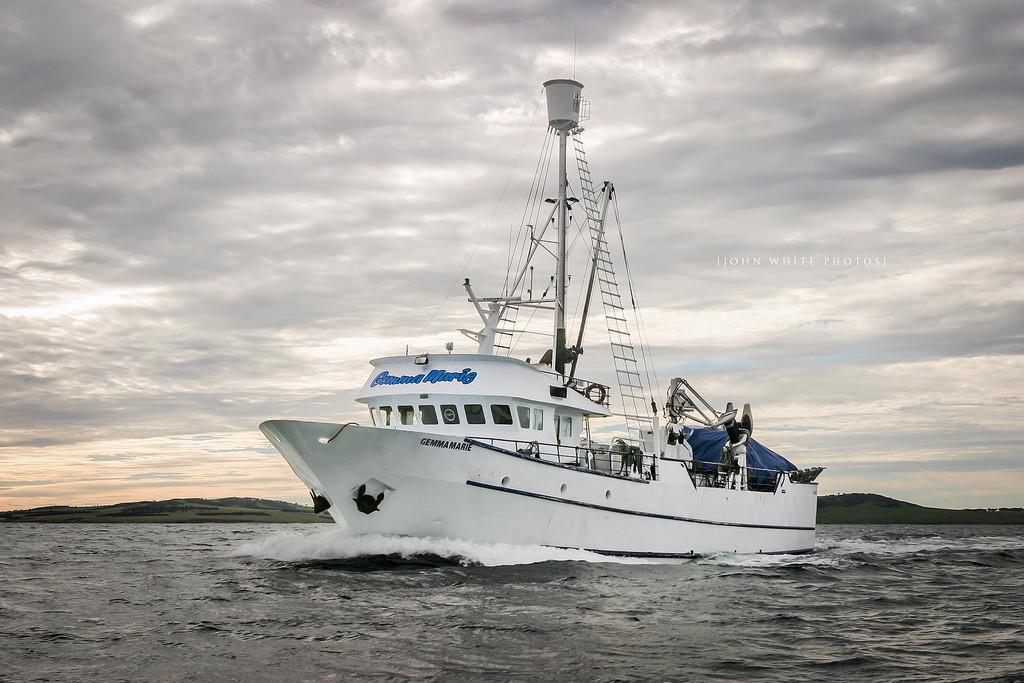 Fravnov Steel Purse Seine Vessel