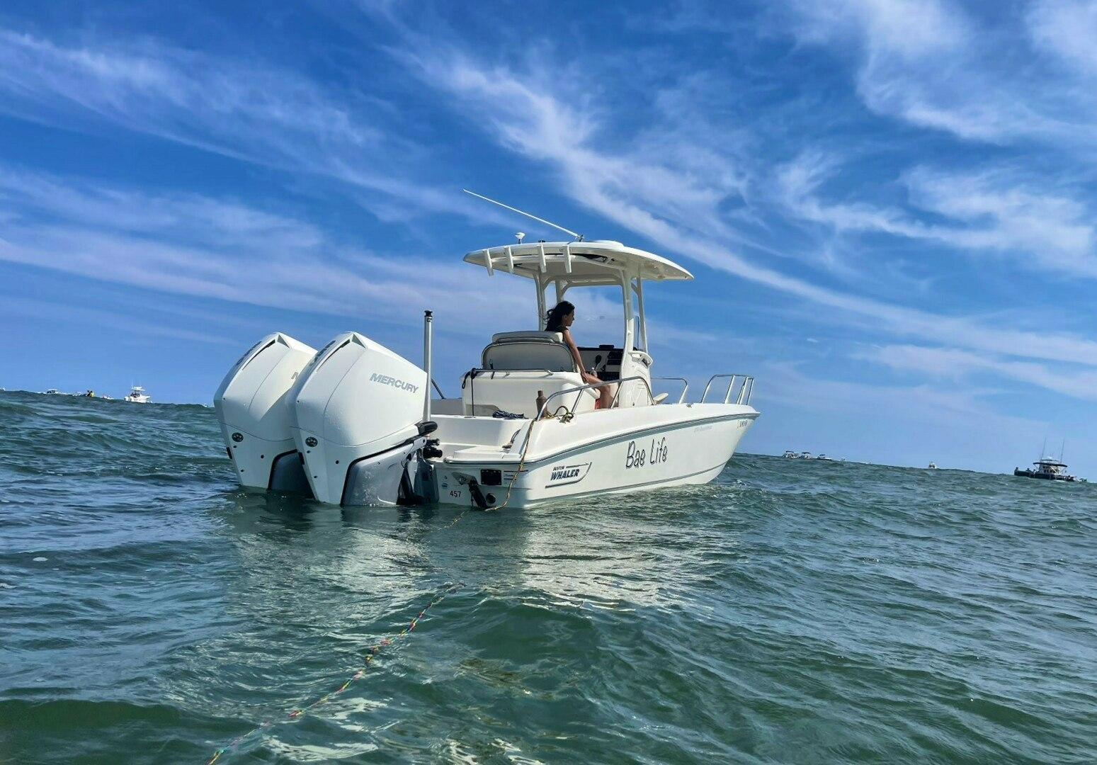 Boston Whaler 270 Dauntless