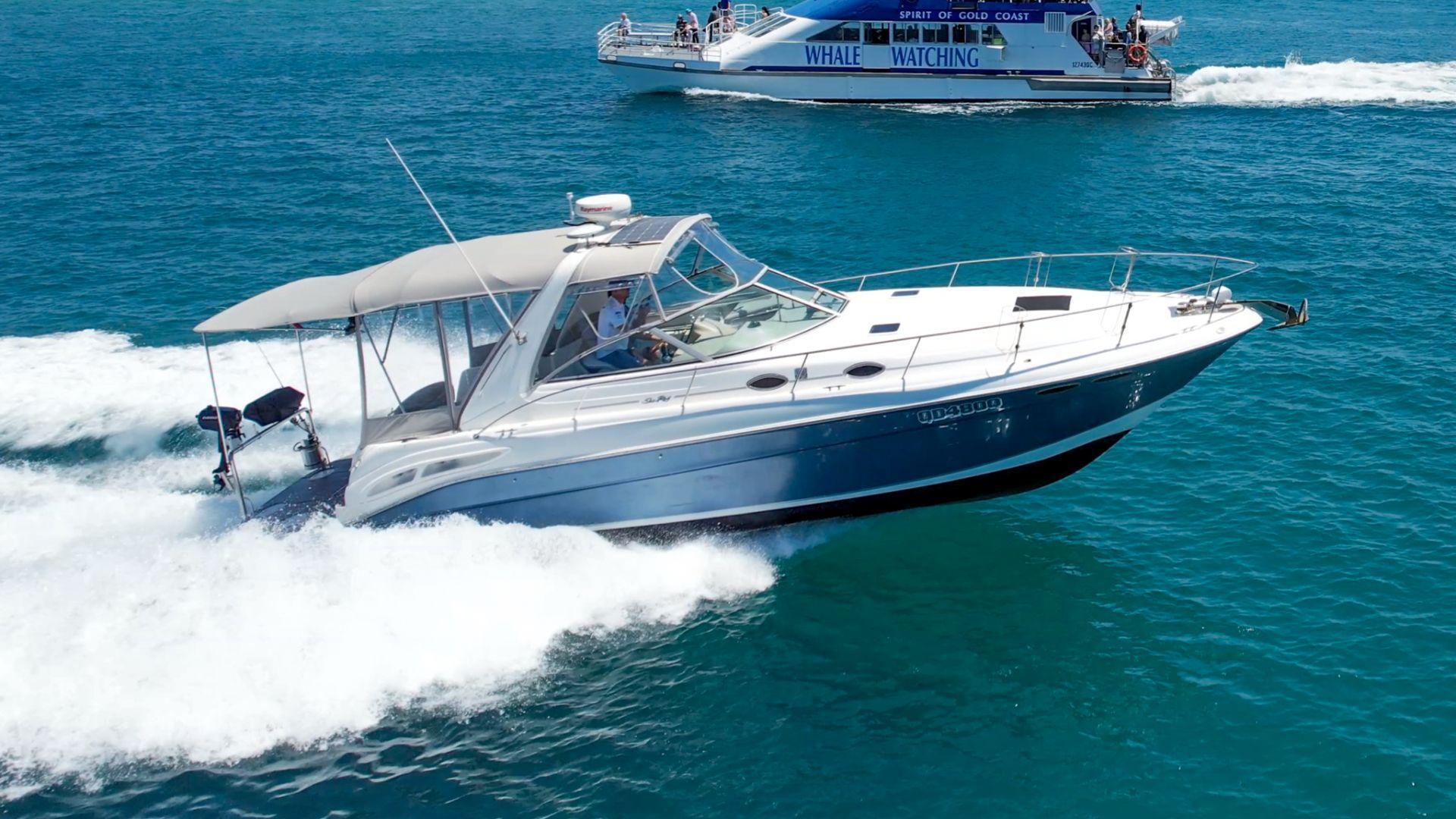Sea Ray 355 Sundancer