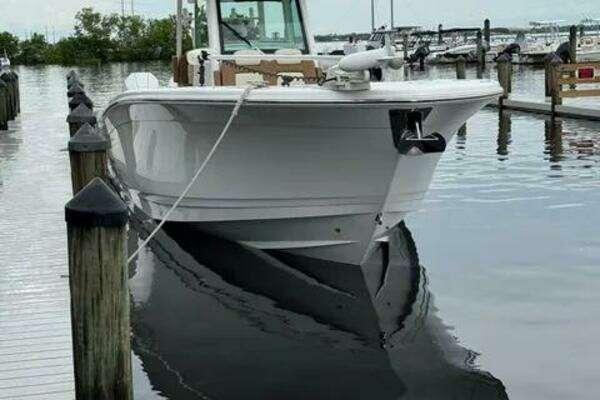 Caymas 341CC