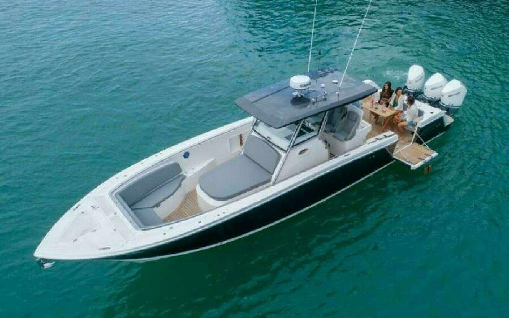 Fishing Raptor 390 Solarium