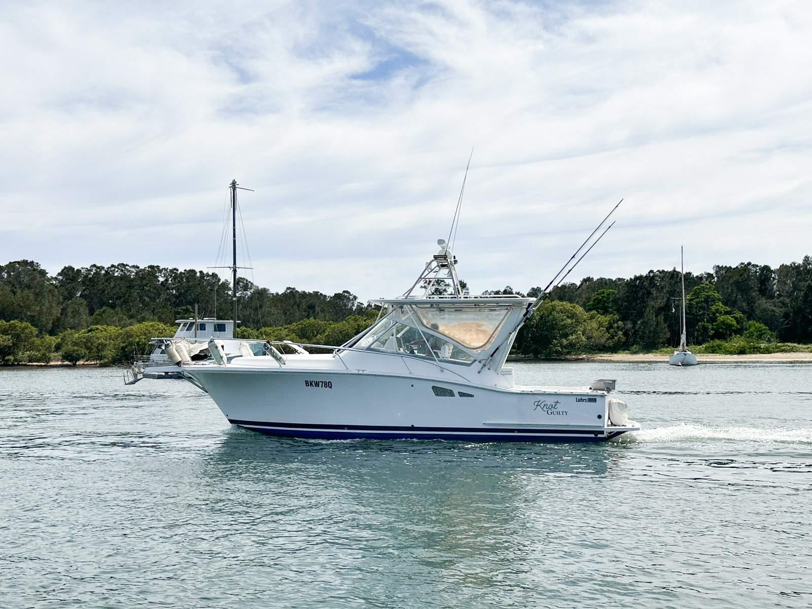 Luhrs 31 Open