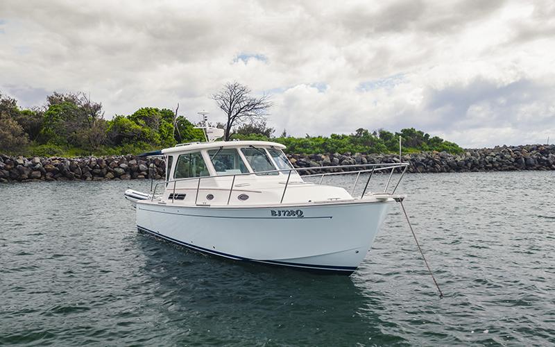 Back Cove 33