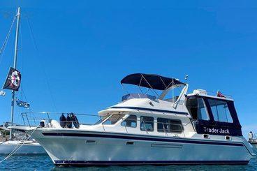 Trader 445