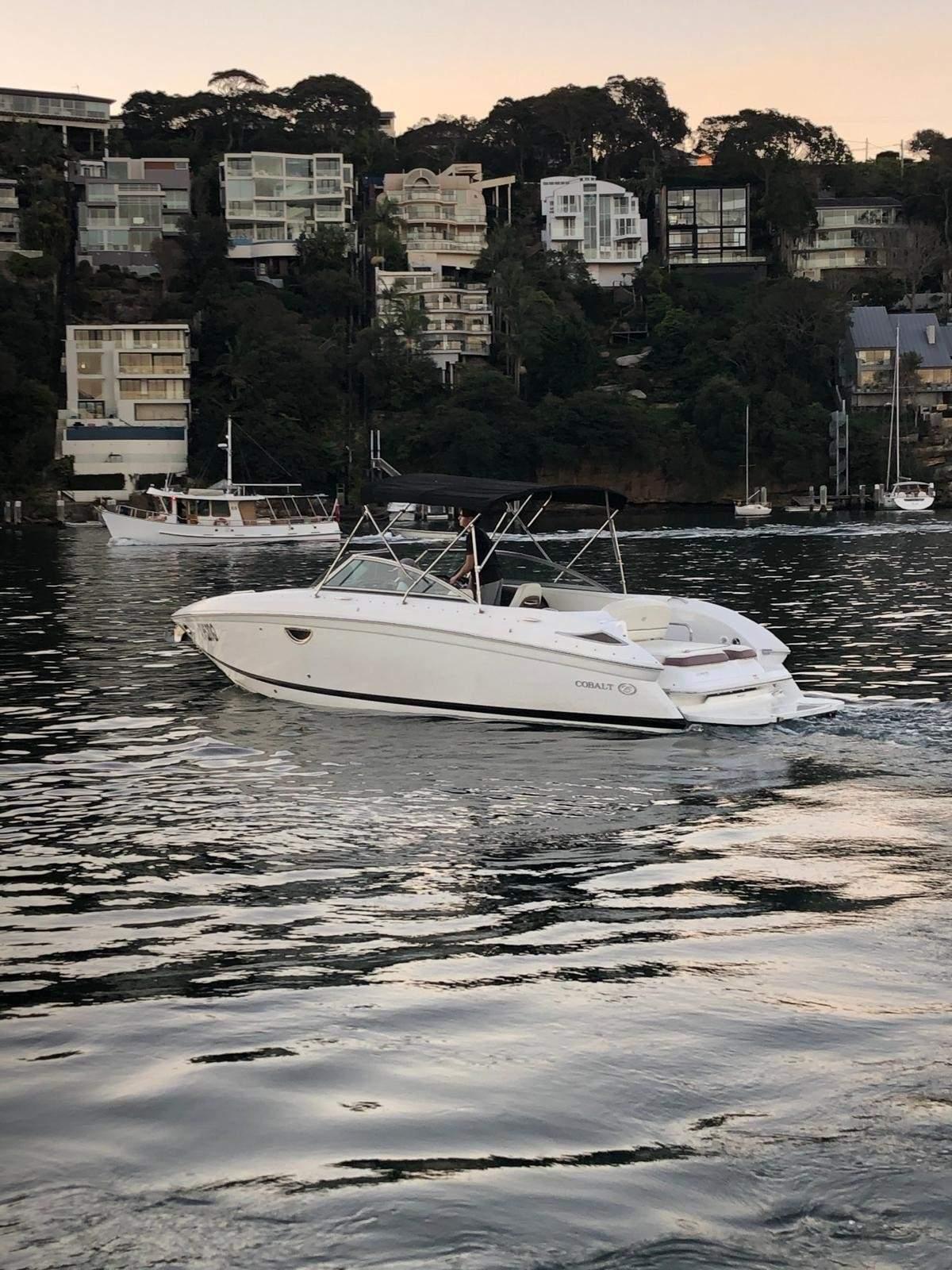 Cobalt 262