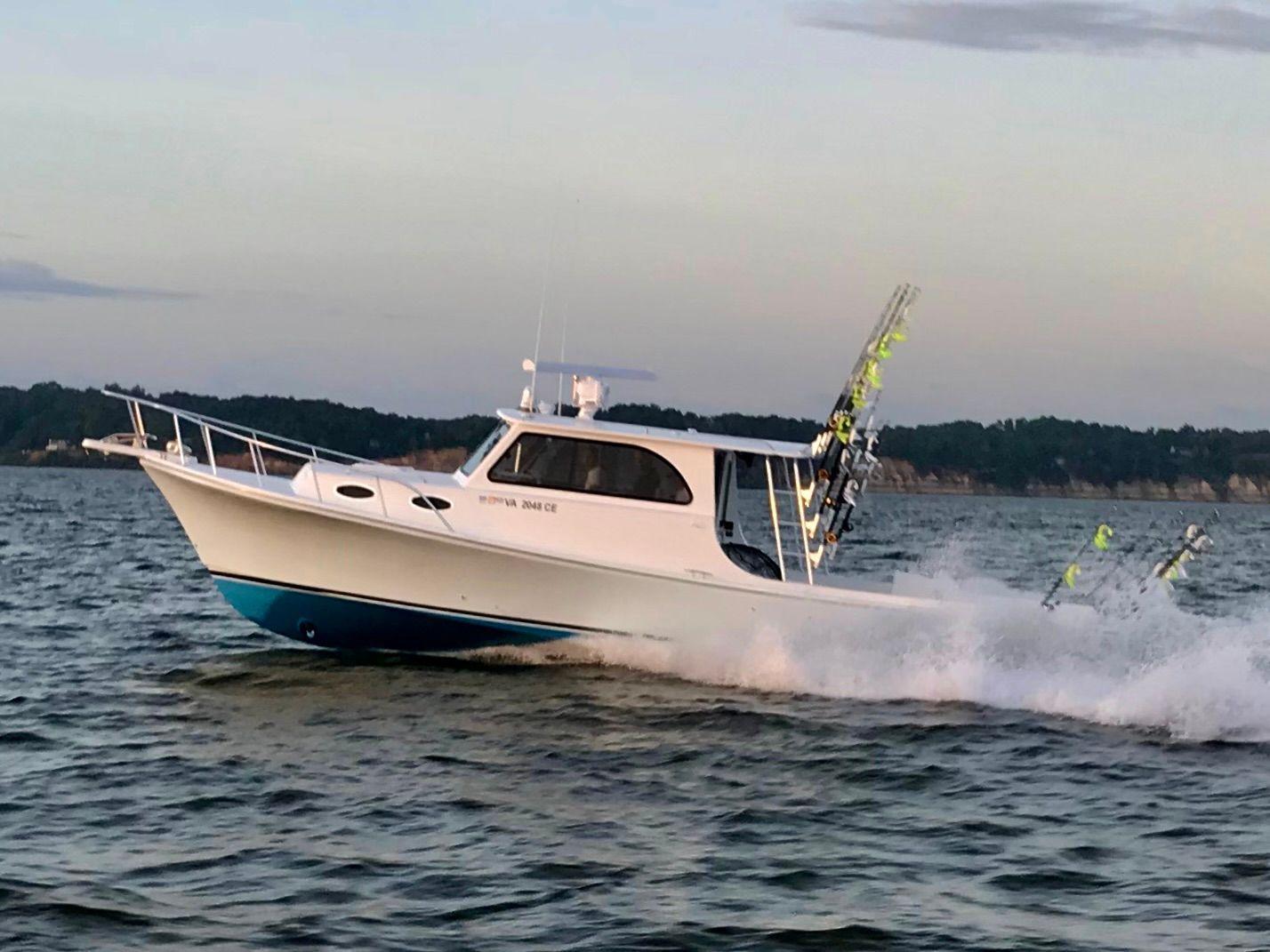 Judge 36 Chesapeake