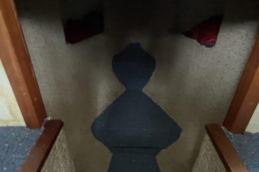 Photo 42