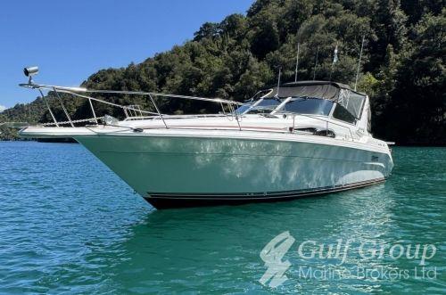 Sea Ray 310