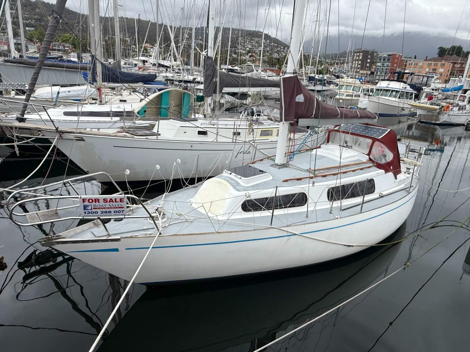 Knoop 30