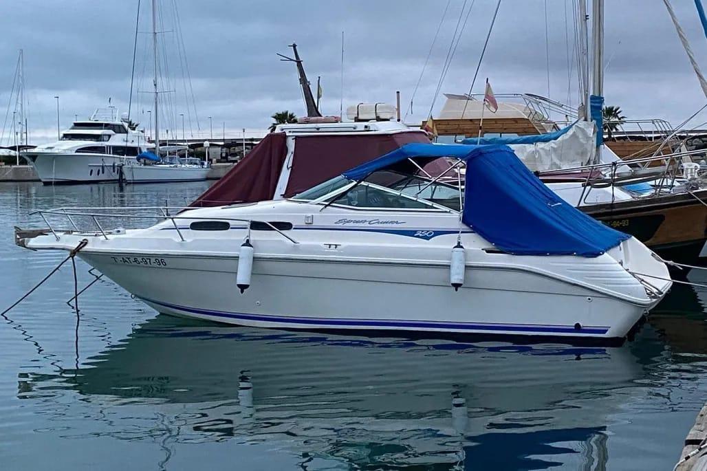 Sea Ray 250