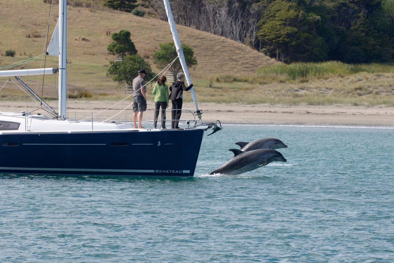 Beneteau Oceanis 43