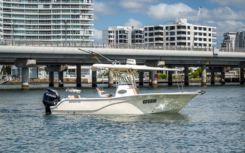 Sea Fox 249 Avenger