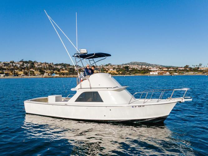 Bertram 31