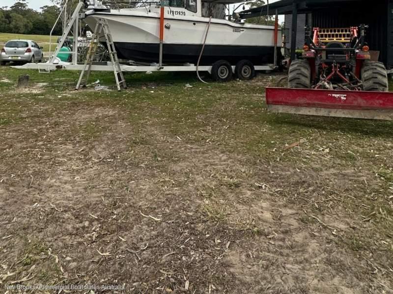 Cougar Cat 8.5