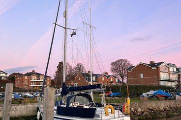 Photo 38