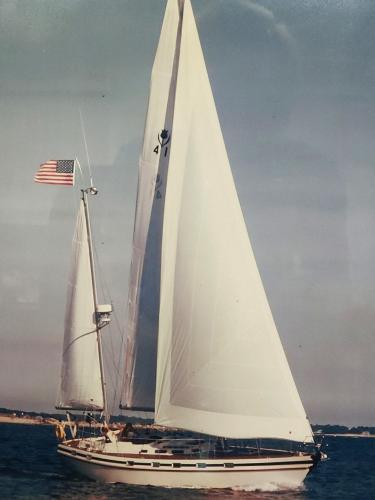 Contest 41