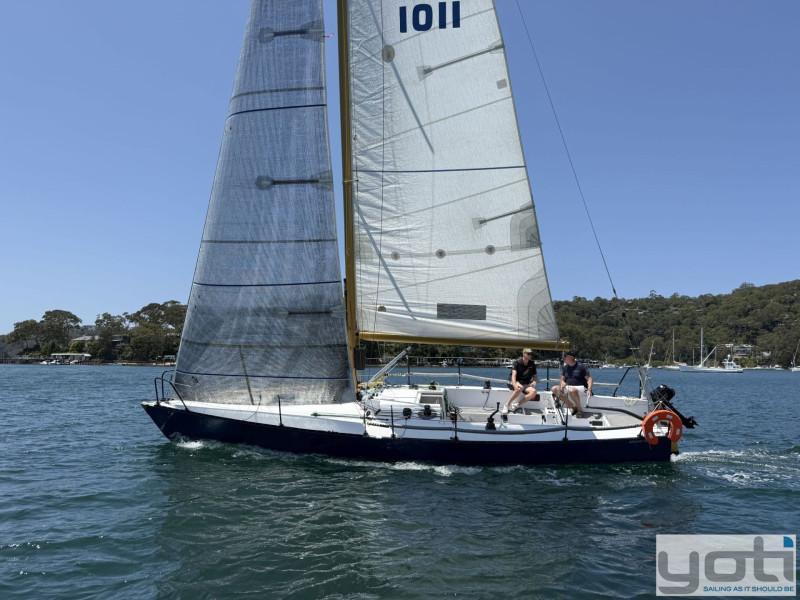 Adams 10