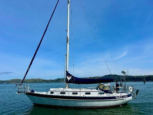 Valiant 39