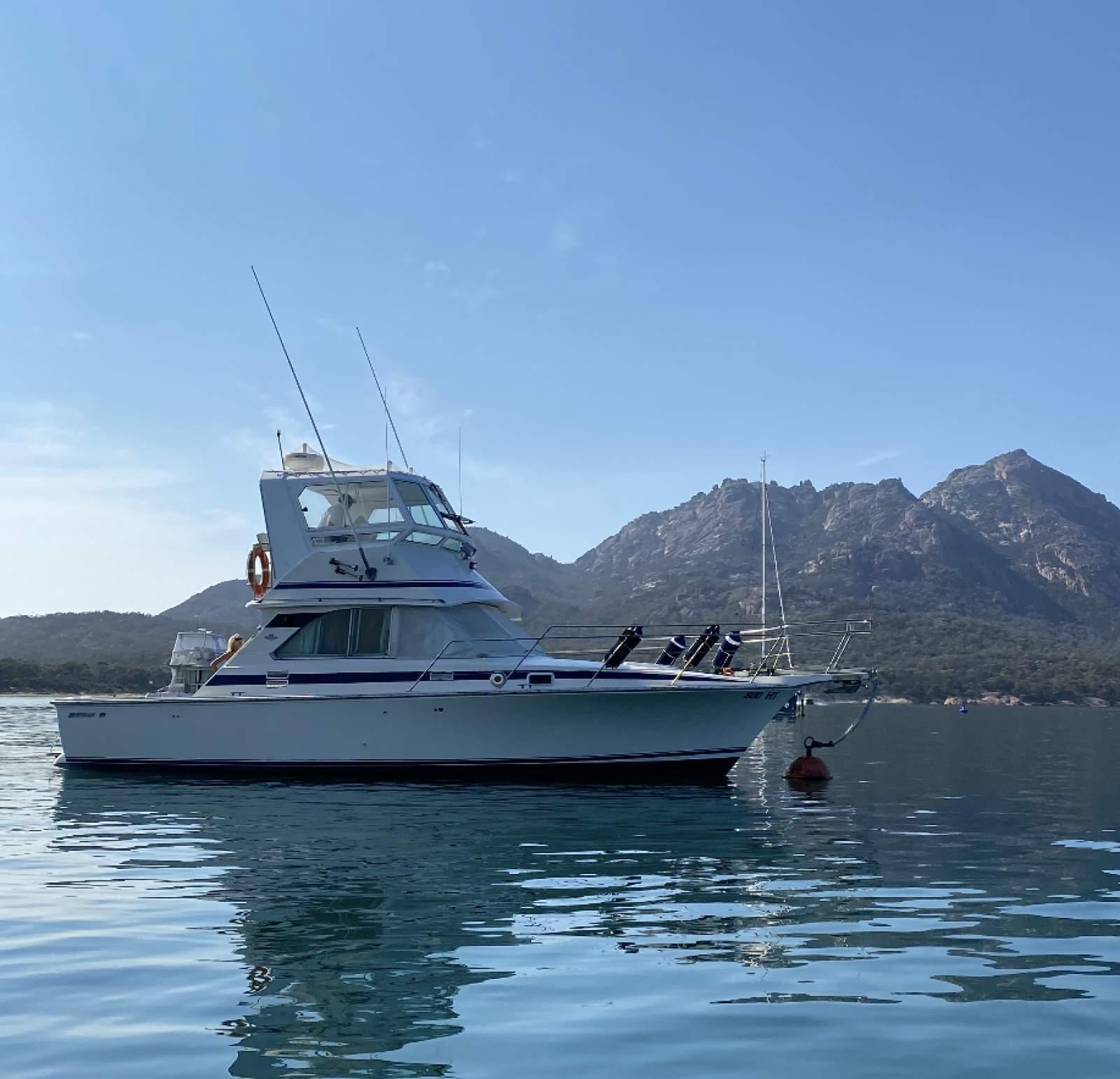 Bertram Caribbean 35