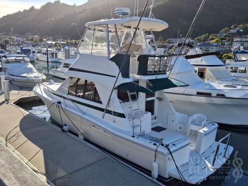Riviera Platinum 34