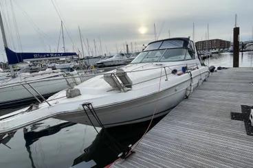 Sea Ray 300