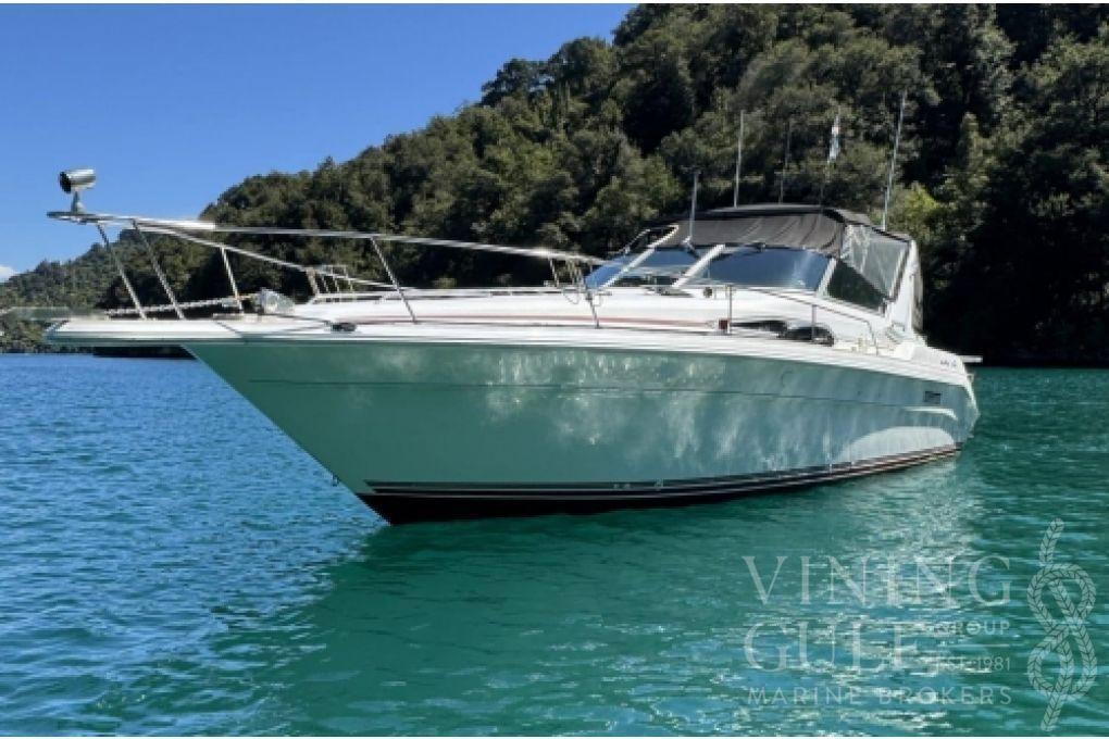 Sea Ray 310