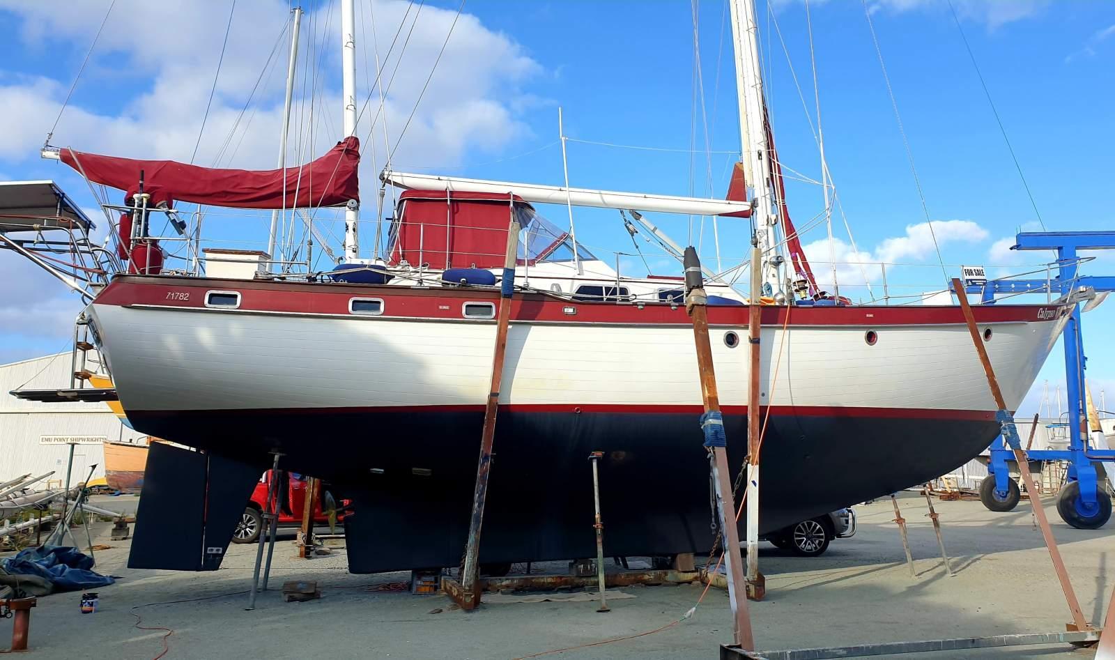 Transpac 49