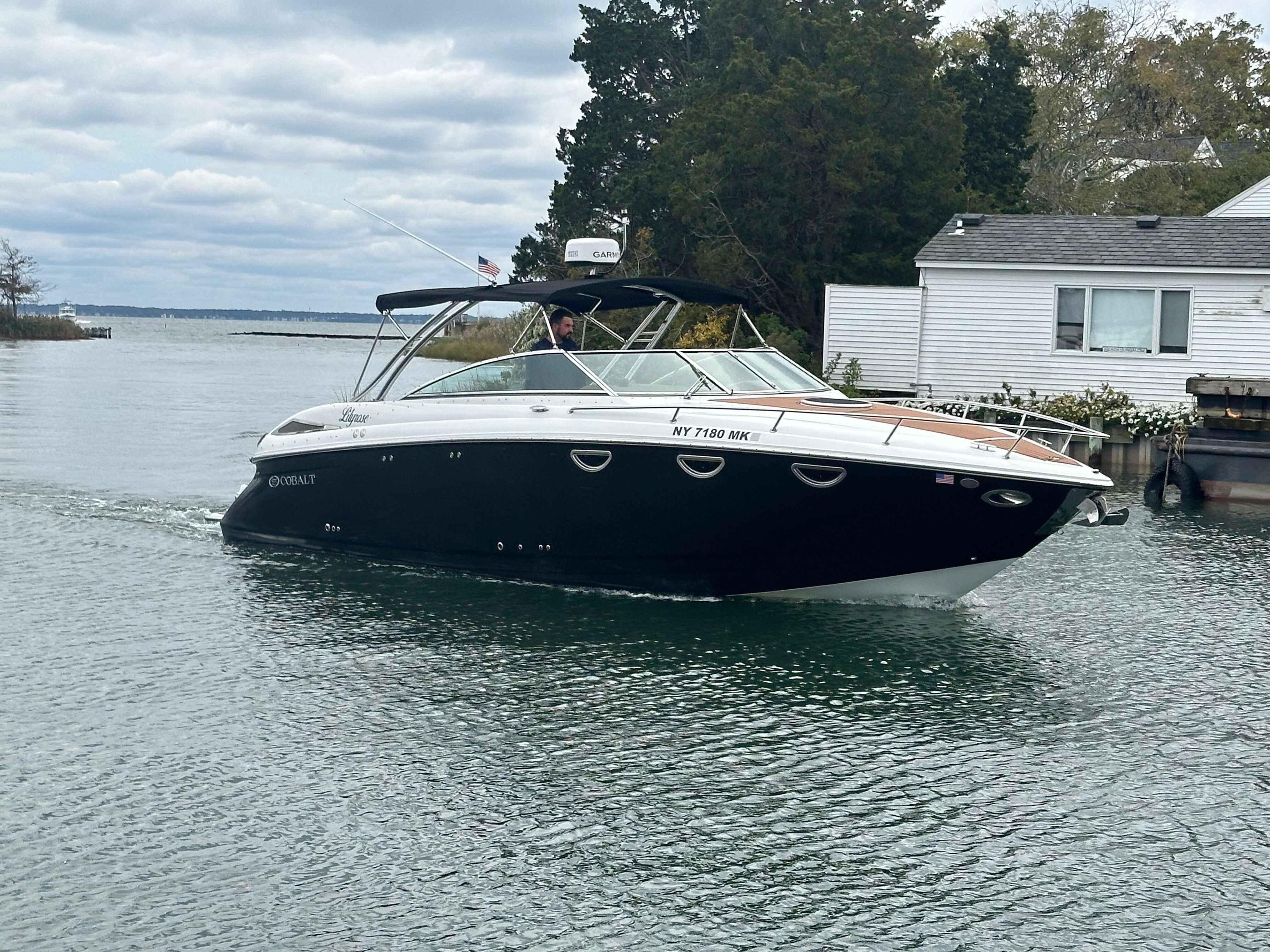 Cobalt 323