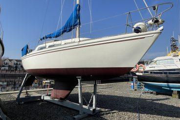 Jaguar 27