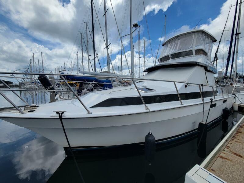 Mediterranean 38