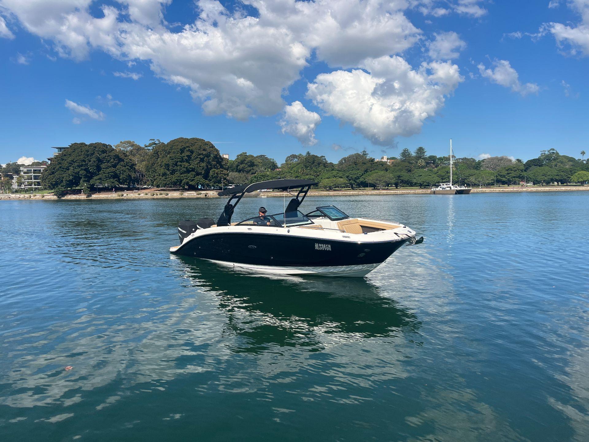 Sea Ray 290SDX OB