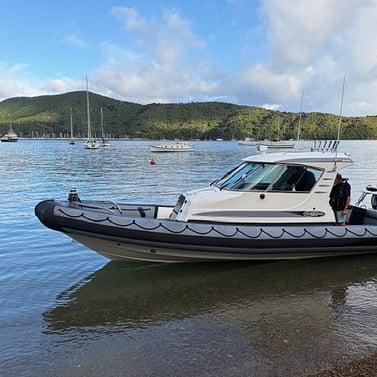 Rayglass Protector 850 RIB