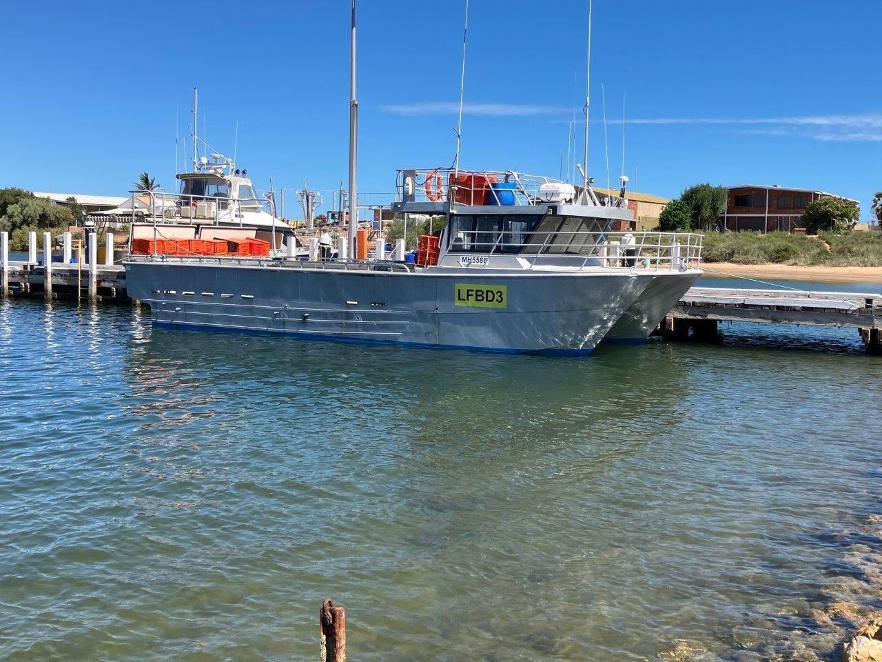 Mark Ellis Commercial Catamaran