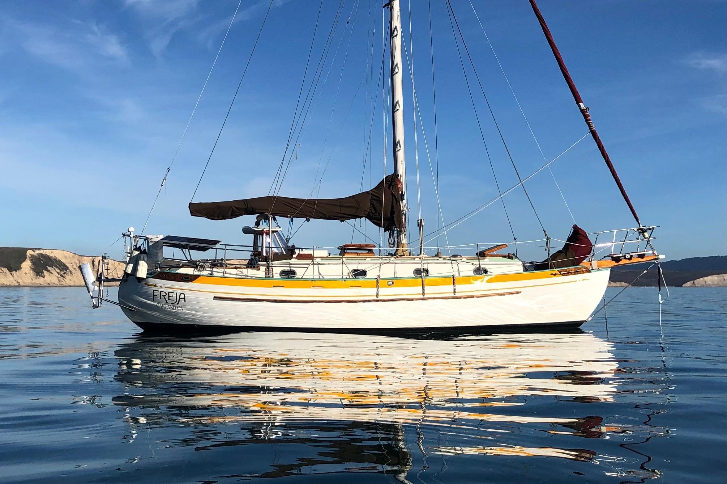 Tayana 37