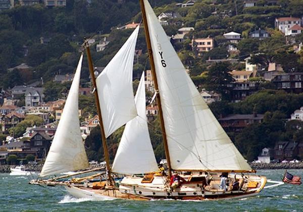 Schock Staysail Schooner