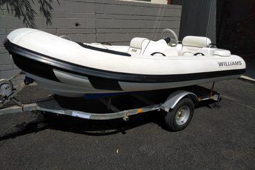 Williams Jet Tenders 325 Turbojet