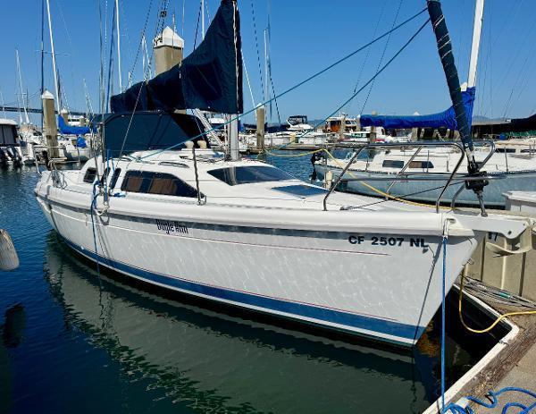 Hunter 29.5