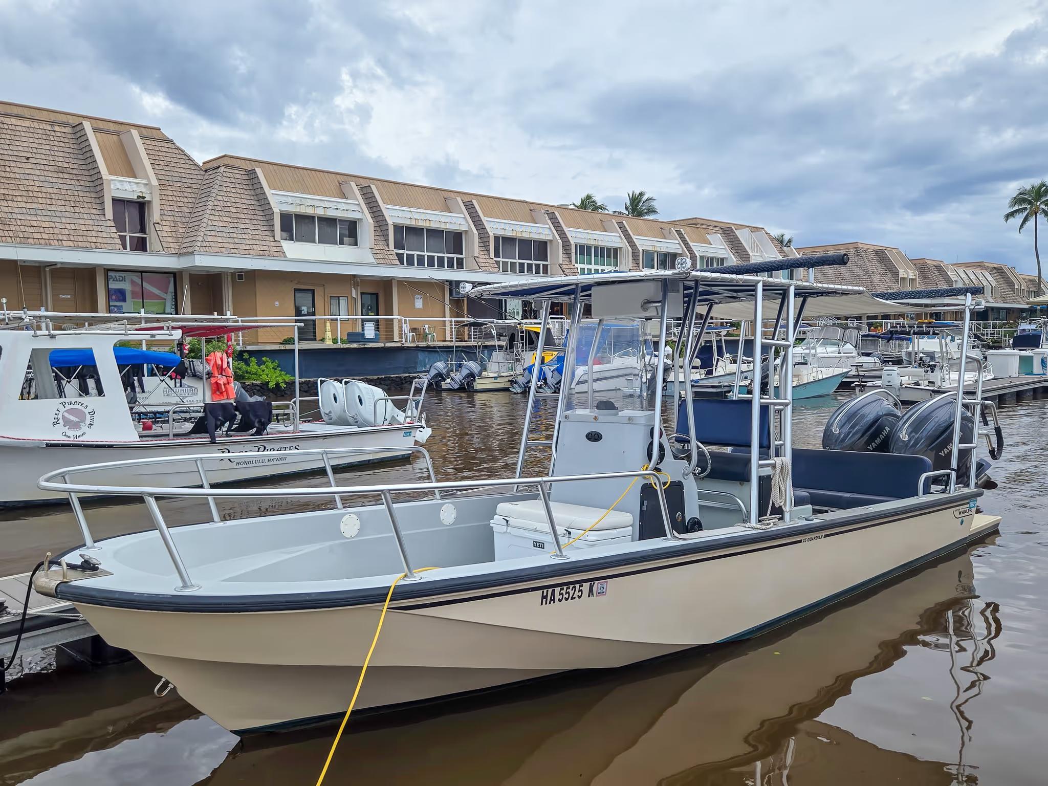 Boston Whaler Guardian 25