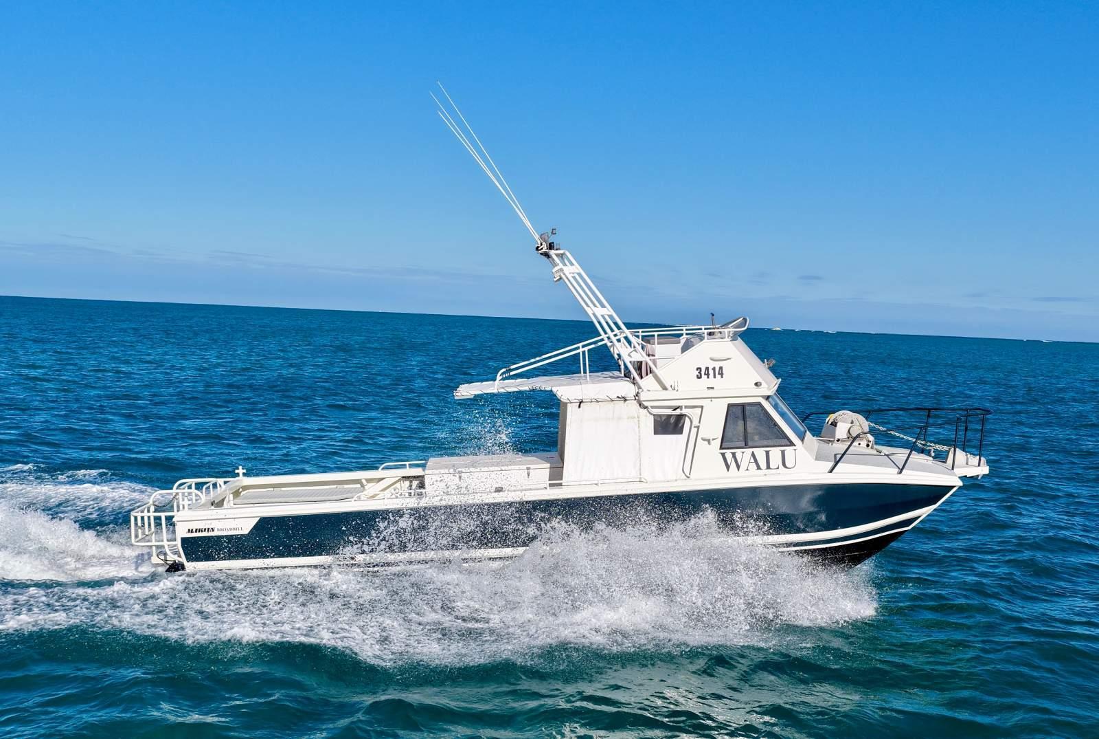 Marlin Broadbill