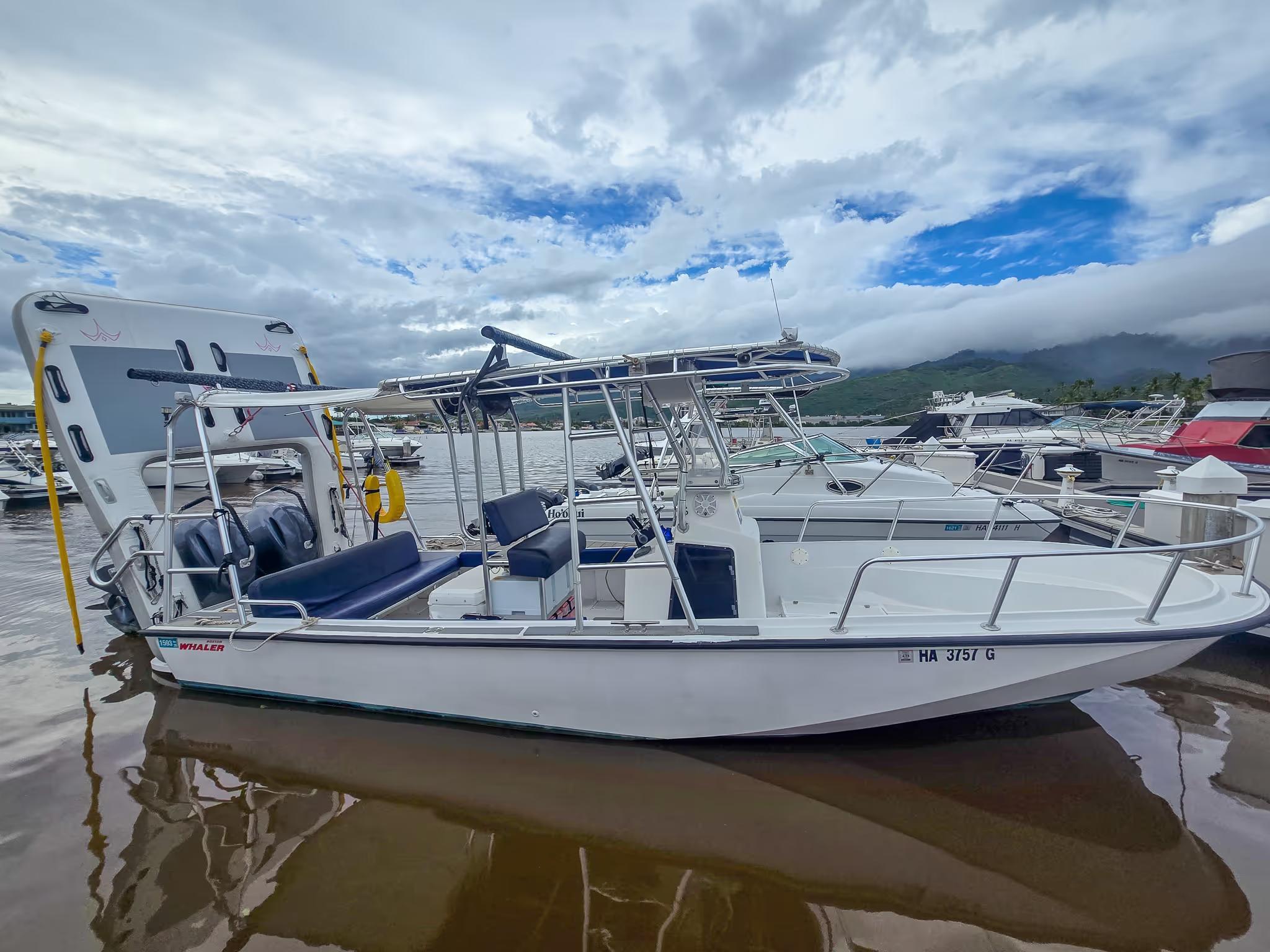 Boston Whaler Guardian 25