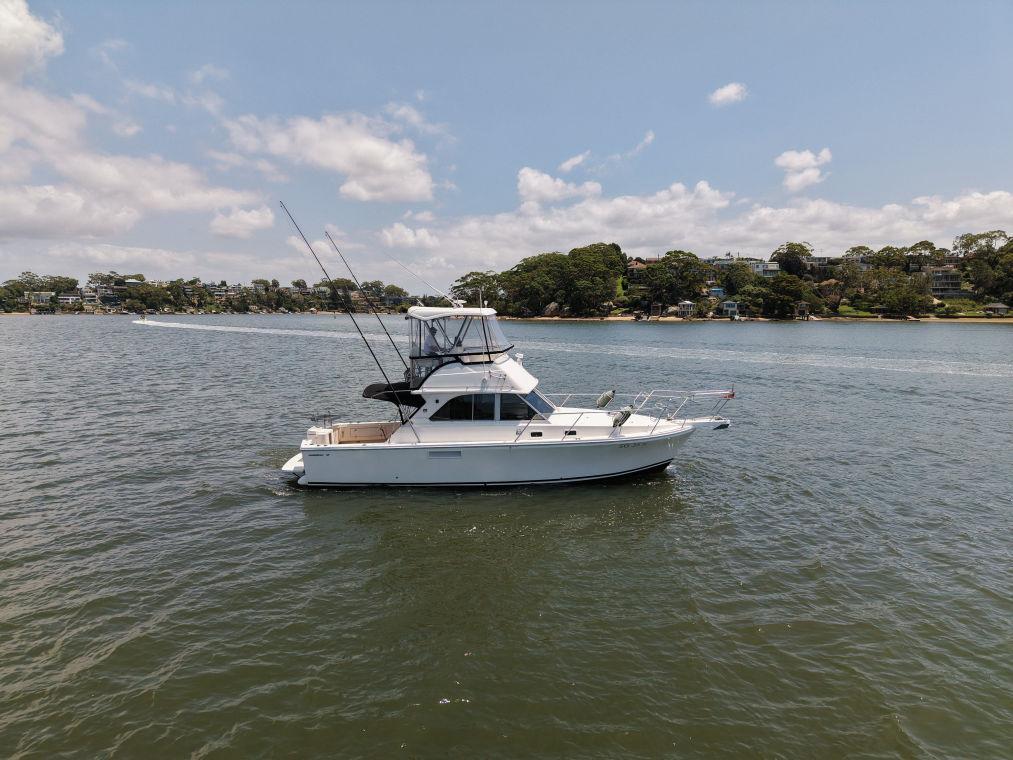 Caribbean 35