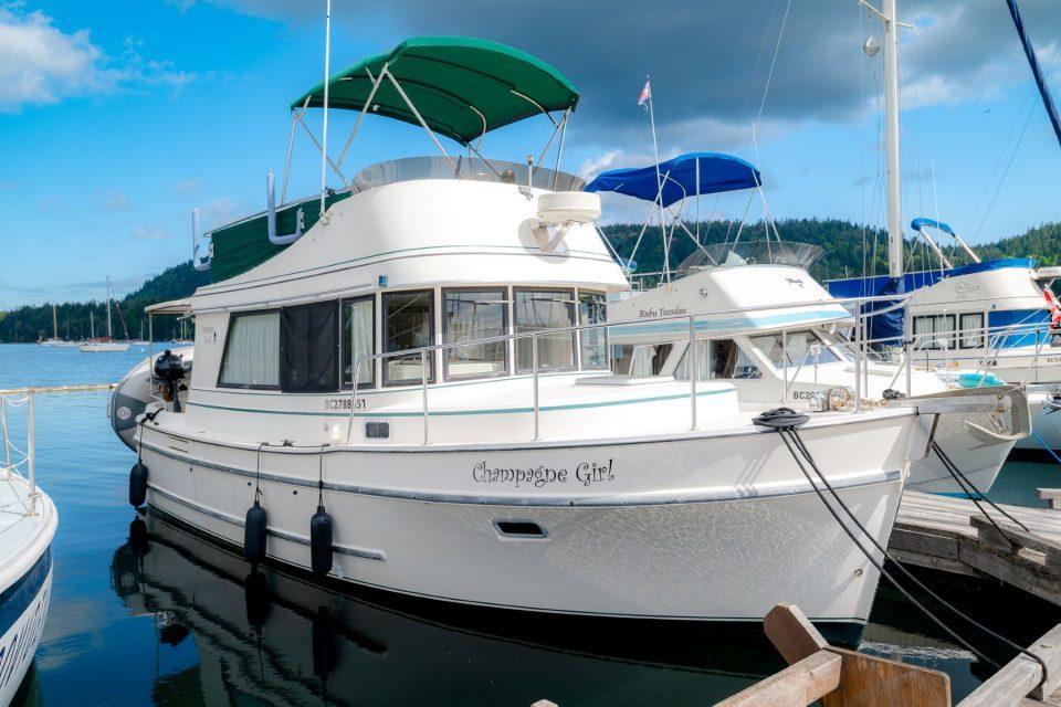 Camano 31