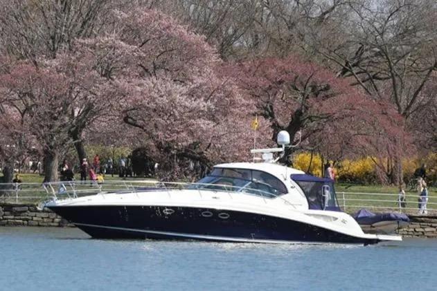 Sea Ray 420 Sundancer