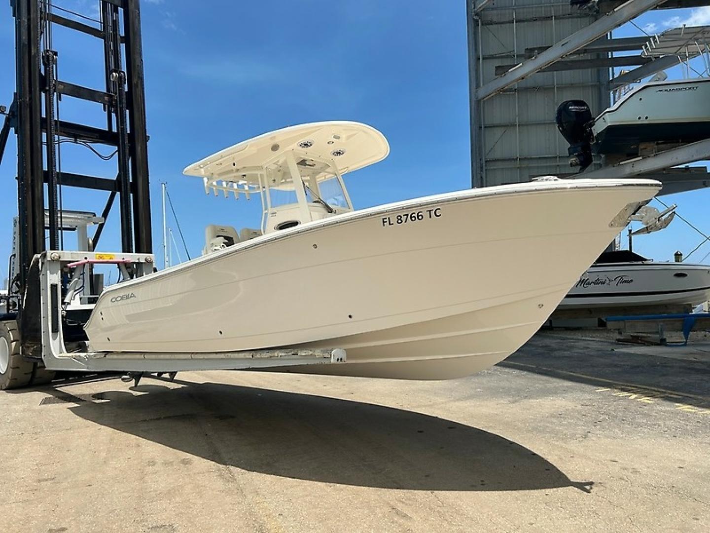 Cobia 262