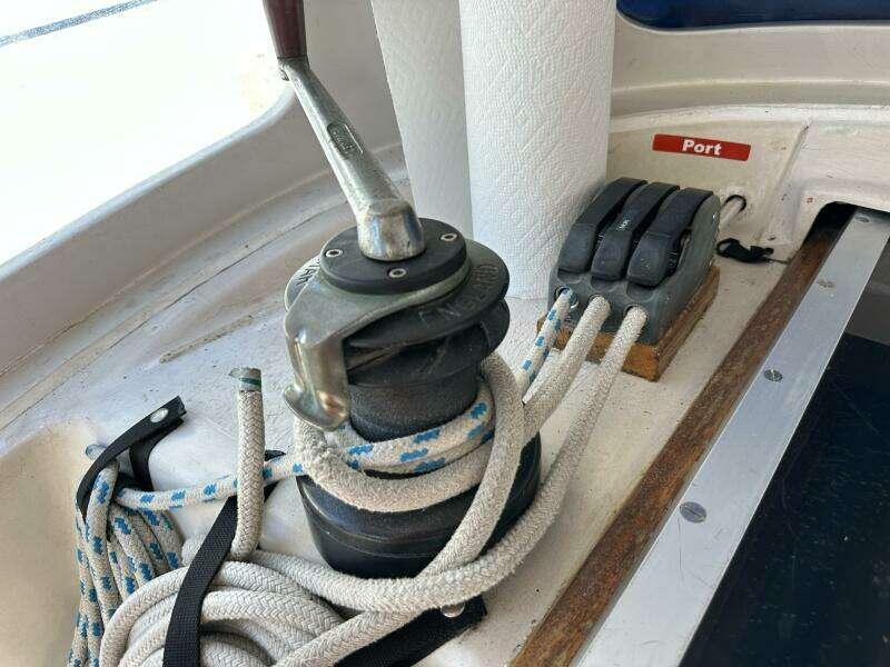 Photo 41