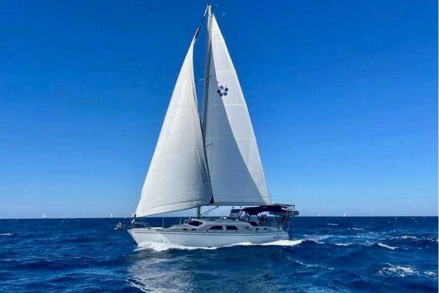 Catalina Morgan 440