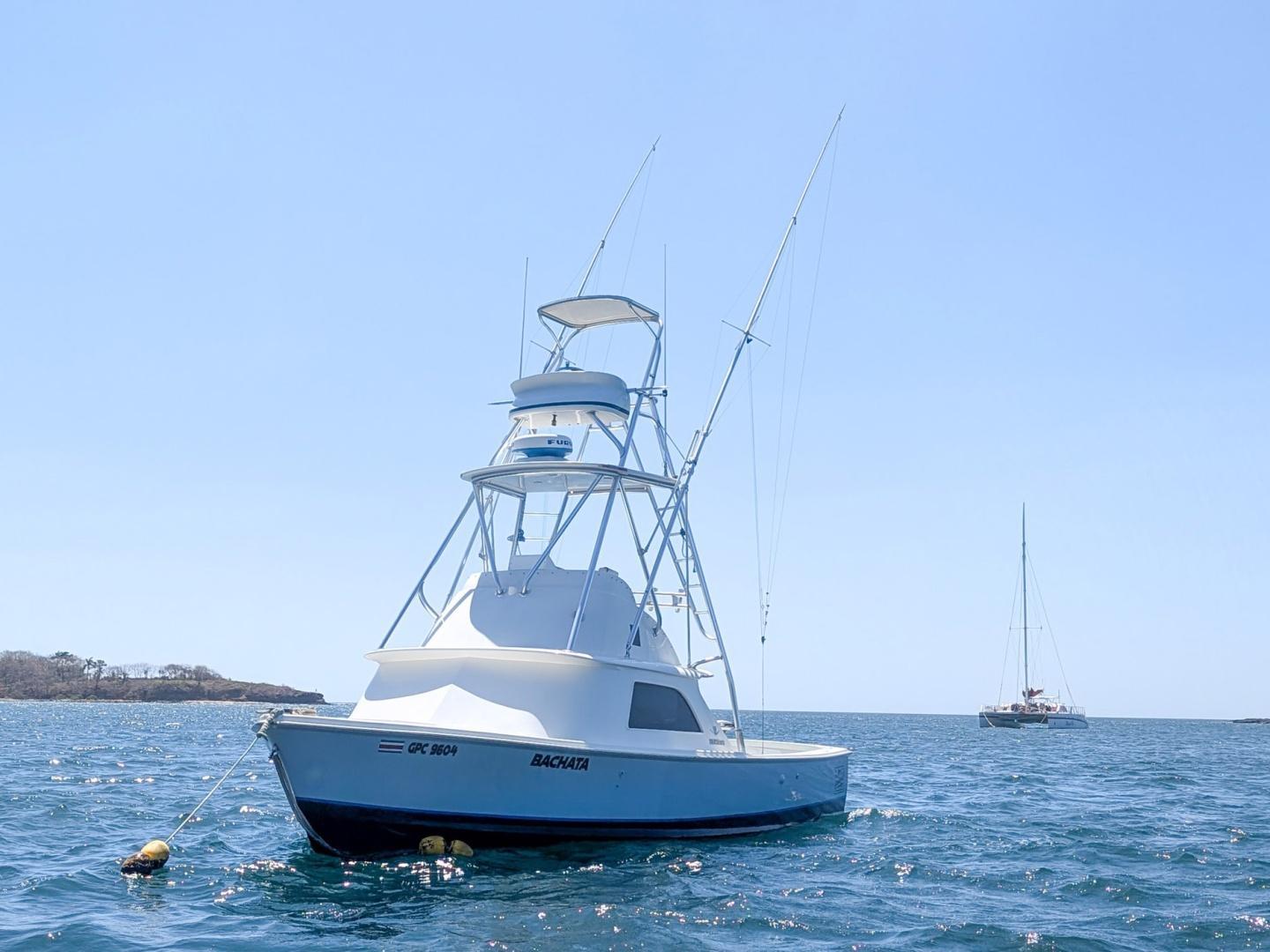 Bertram 31