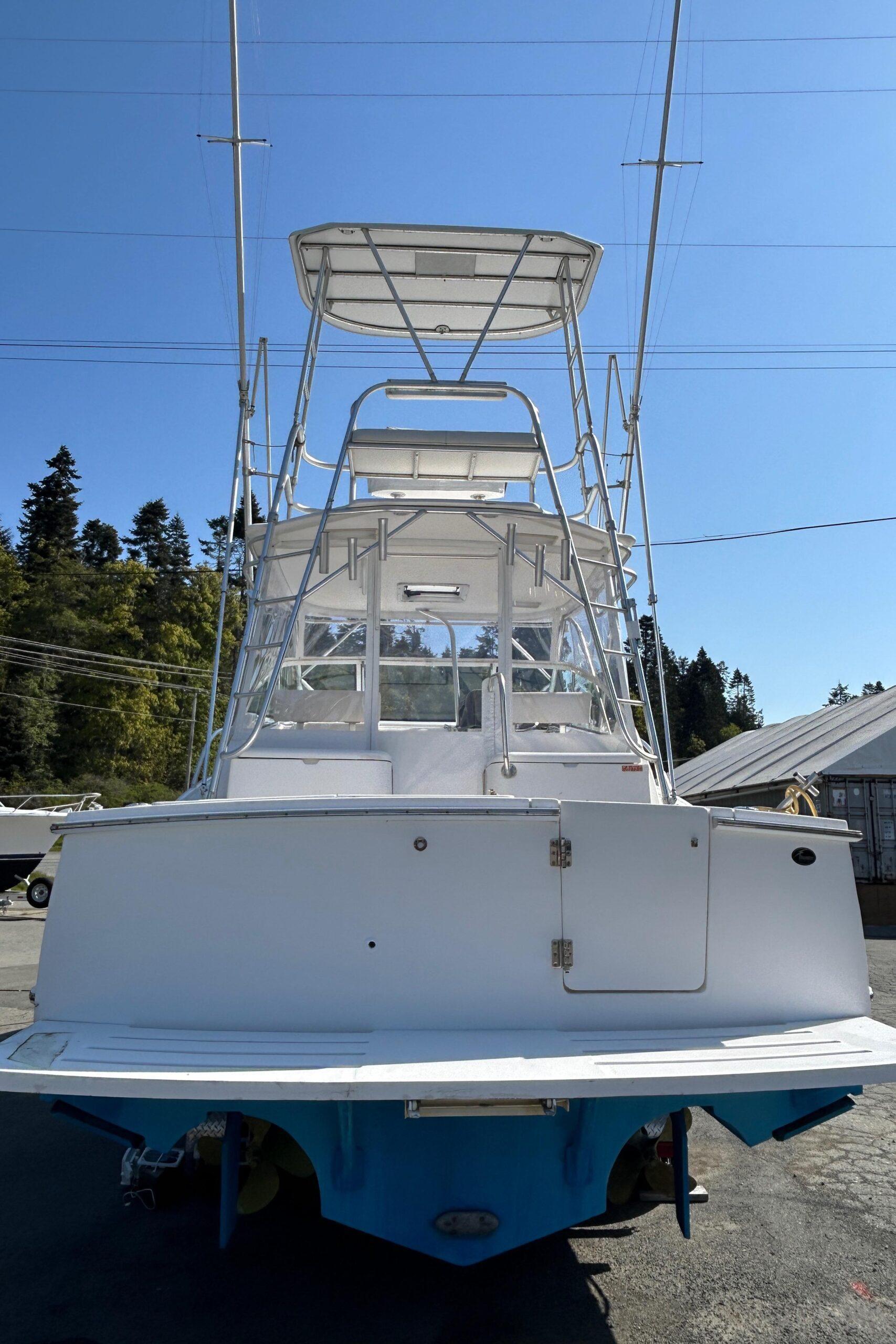 Luhrs 31 Open