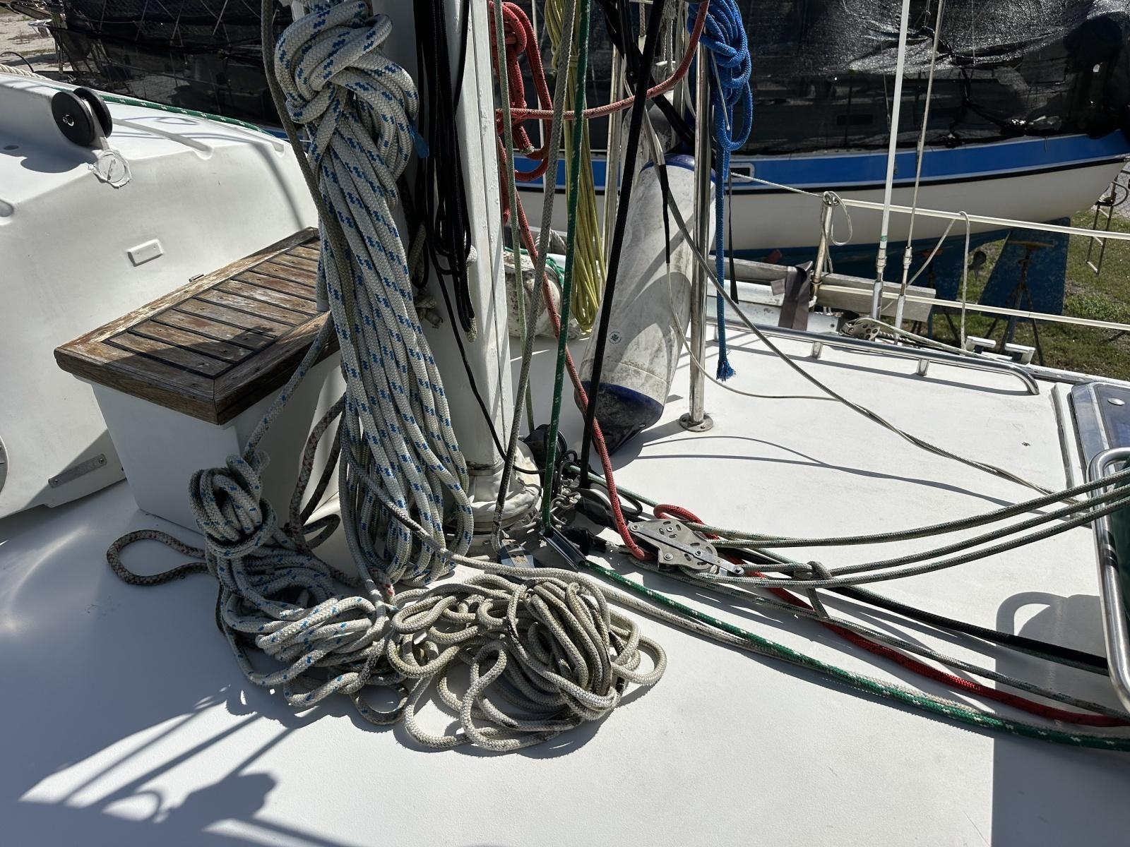 Photo 45