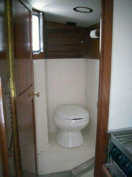 Photo 43